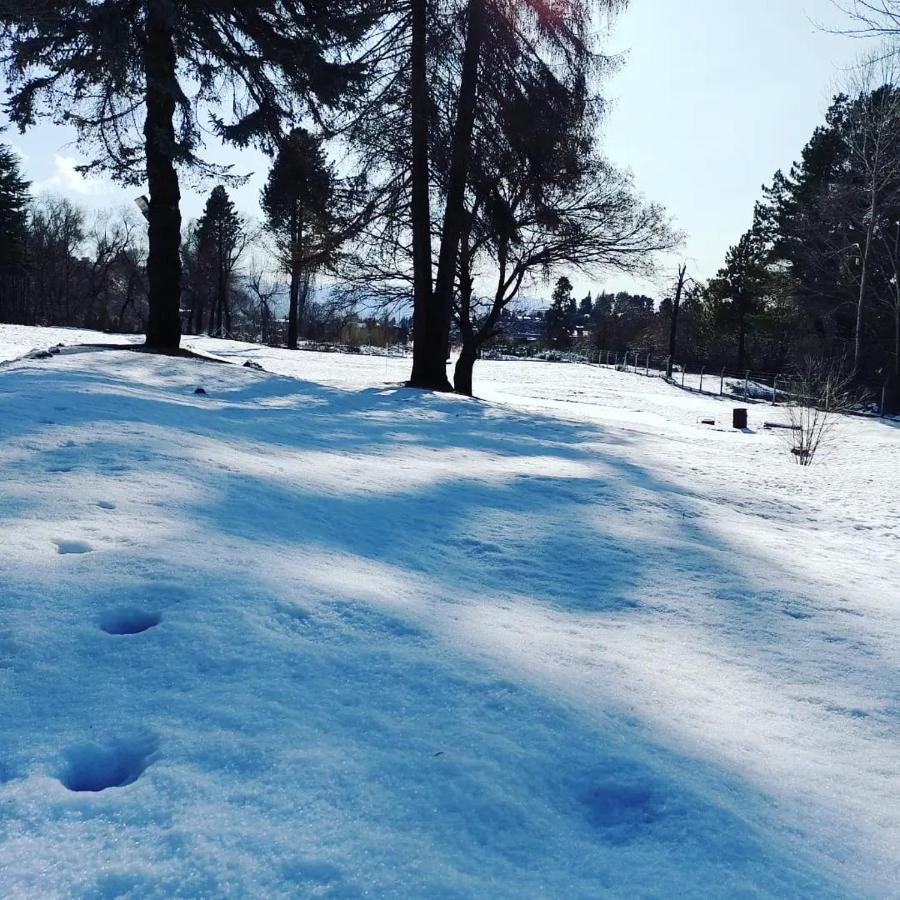 Posada Del Nireco Сан Карлос де Барилоче Екстериор снимка
