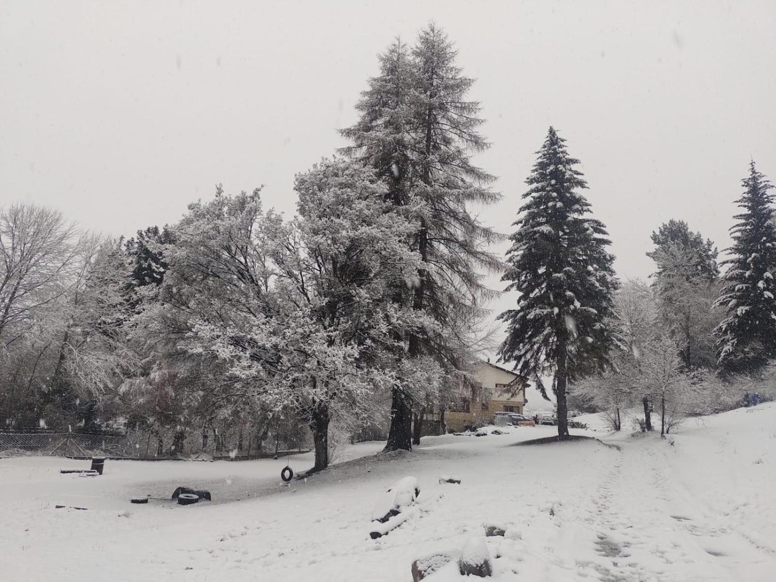 Posada Del Nireco Сан Карлос де Барилоче Екстериор снимка