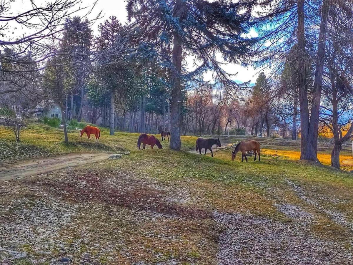 Posada Del Nireco Сан Карлос де Барилоче Екстериор снимка