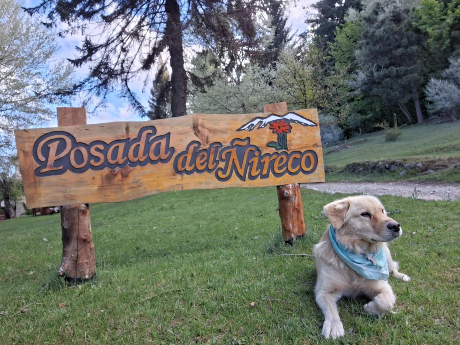 Posada Del Nireco Сан Карлос де Барилоче Екстериор снимка