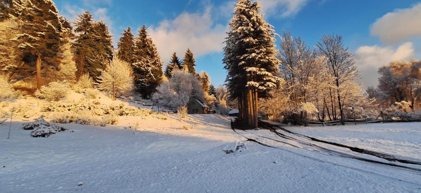 Posada Del Nireco Сан Карлос де Барилоче Екстериор снимка